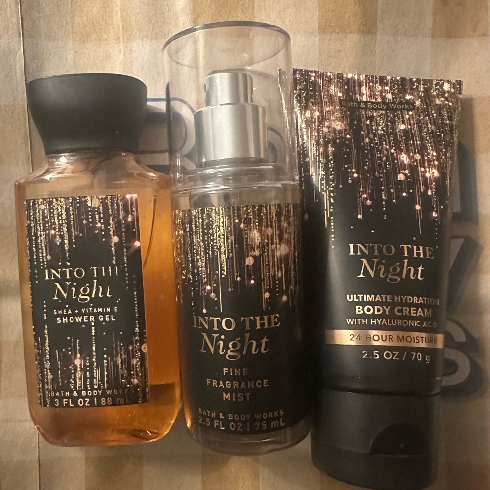 Bath & Body Works Into the Night Body Wash Set - Mini